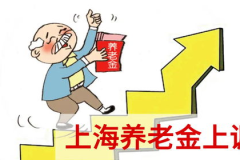 上海养老金上调最新消息,2024年新标准揭晓！