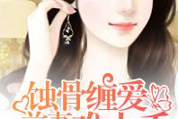 总裁蚀骨缠爱前妻,前妻的复仇之路