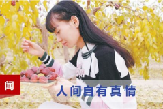 娱乐吃瓜酱感人故事大全,娱乐吃瓜酱感人故事精选集