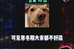 娱乐八卦吃瓜每日爆料,每日爆料，揭秘明星幕后故事”