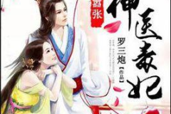 神医毒妃txt下载,TXT下载背后的传奇故事